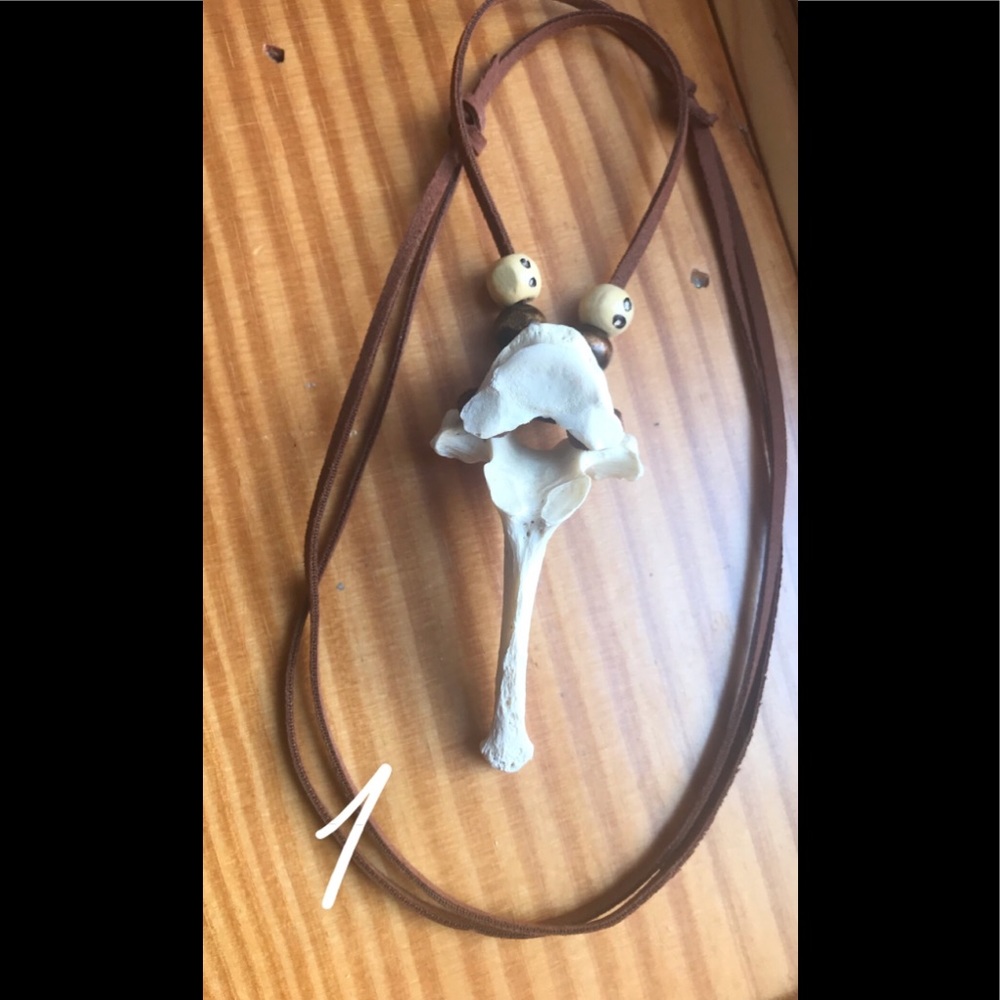 Vertebrae Necklace